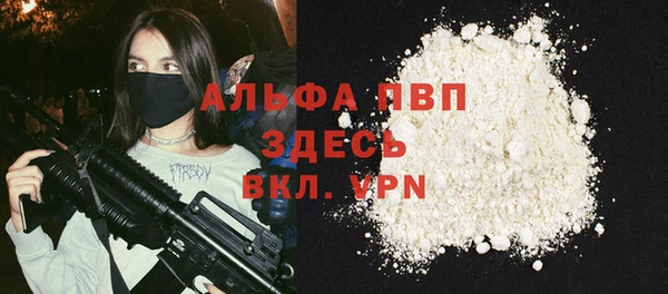 стаф Арсеньев