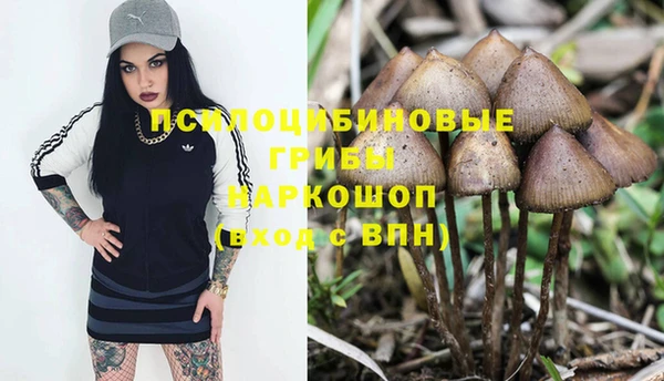 мяу мяу мука Армянск