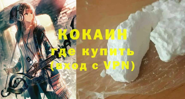 стаф Арсеньев