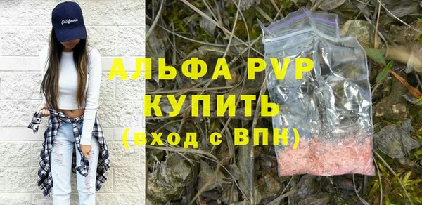 стаф Арсеньев