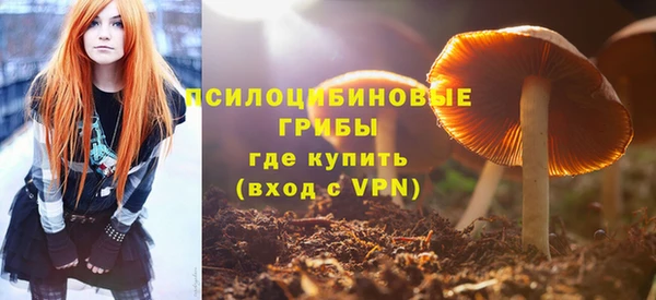 стаф Арсеньев