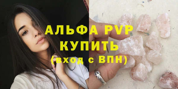 стаф Арсеньев